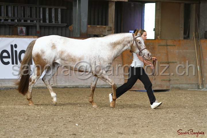 24-ApHC HIH_017.jpg